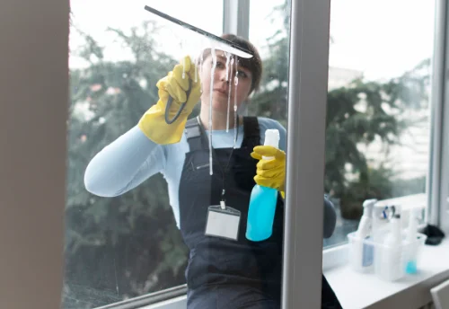 Nettoyage de vitres intérieures et extérieures à Pirey
